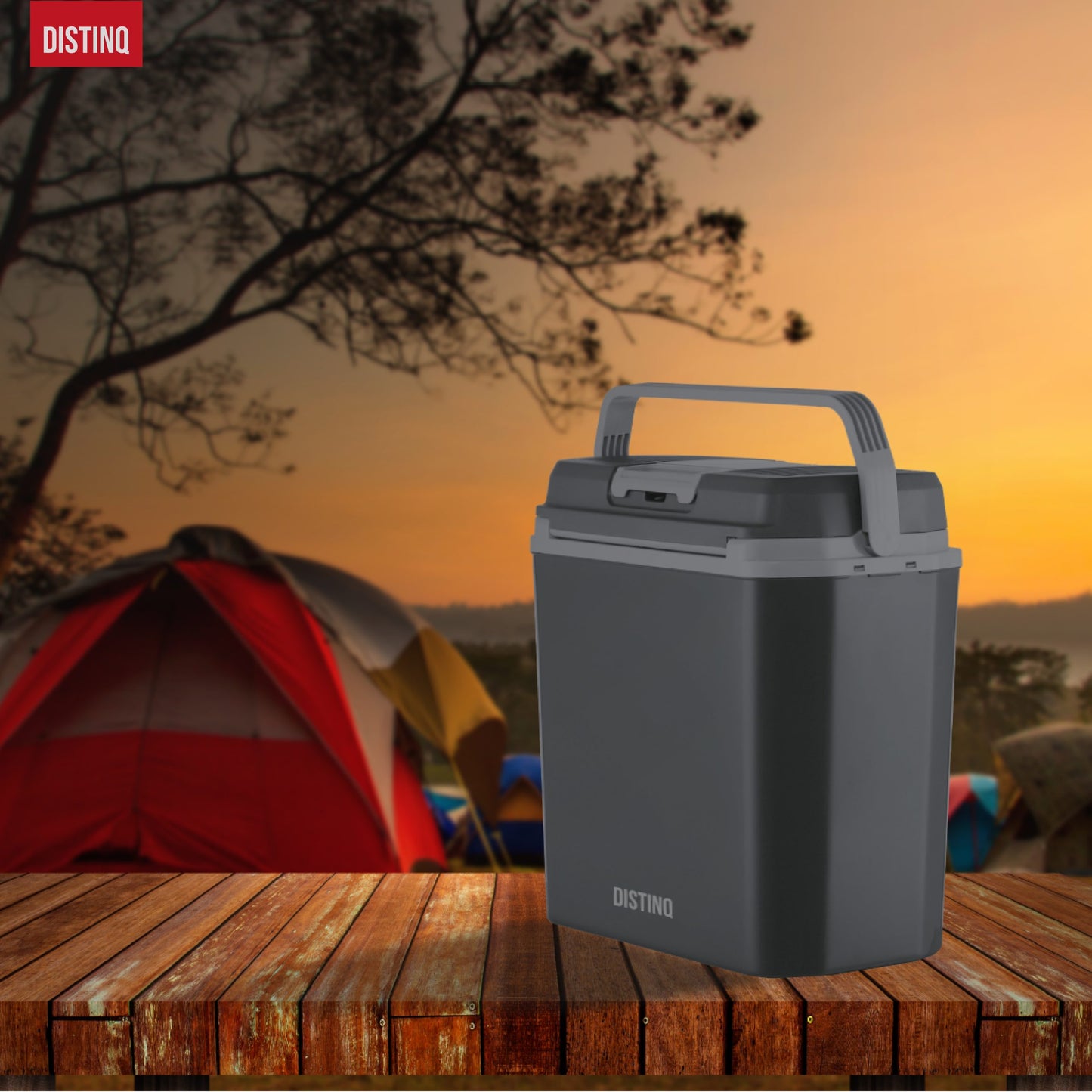 DistinQ Electric Cool Box 20L