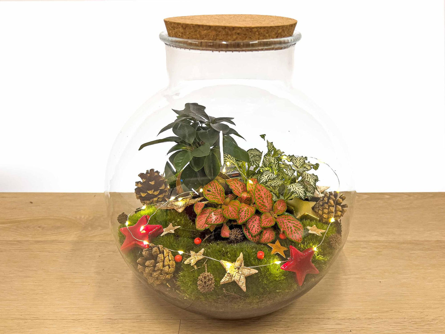 Bolder Bob Bonsai Christmas - DIY - ↕ 30 cm