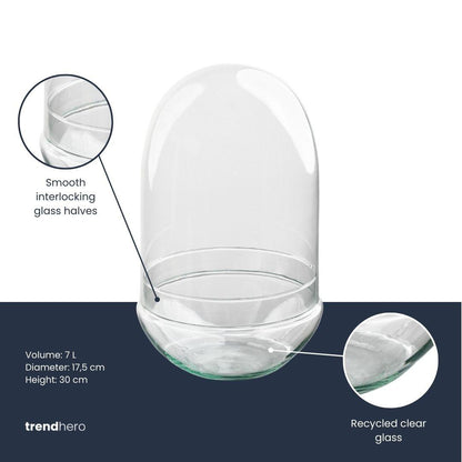 Terrarium fles tweedelig - Egg XL - Ø 17,5 cm ↑ 30 cm