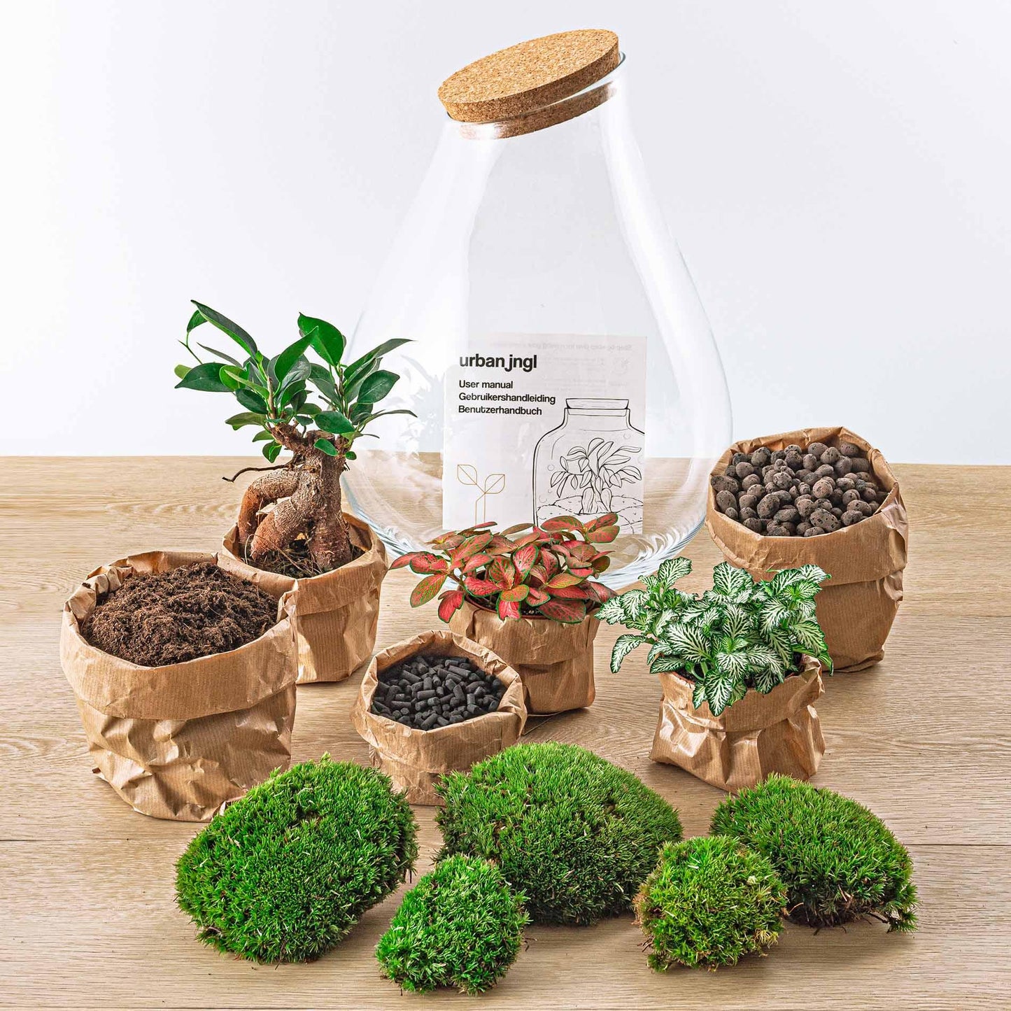 DIY Planten terrarium - Drop XL Bonsai 'red' - Ø 24 cm ↑ 37 cm - Rake + Shovel + Tweezer + Scissors