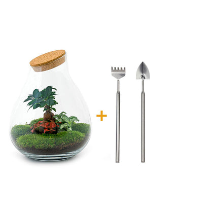 DIY Planten terrarium - Drop XL Bonsai 'red' - Ø 24 cm ↑ 37 cm - Rake + Shovel