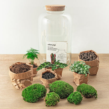 DIY Planten terrarium met licht - Sven XL Botanical - Ø 23 cm ↑ 43 cm - Rake + Shovel