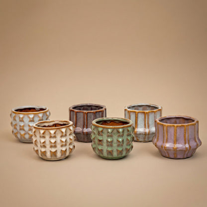 Plant set van 6 met pot set San Juan - Cactus mix - Ø 6 cm