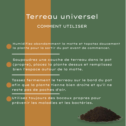 Potgrond Universeel 30 Liter Kopen – Voor Binnen- en Buitenplanten