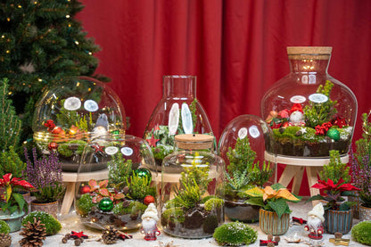 Frosty Kerstmis terrarium - Planten terrarium  DIY kit Christmas -  -  Ø 17 cm ↑ 25 cm
