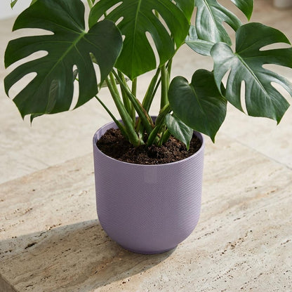 Pot Elho Jazz Round Lavender Lilac - D23