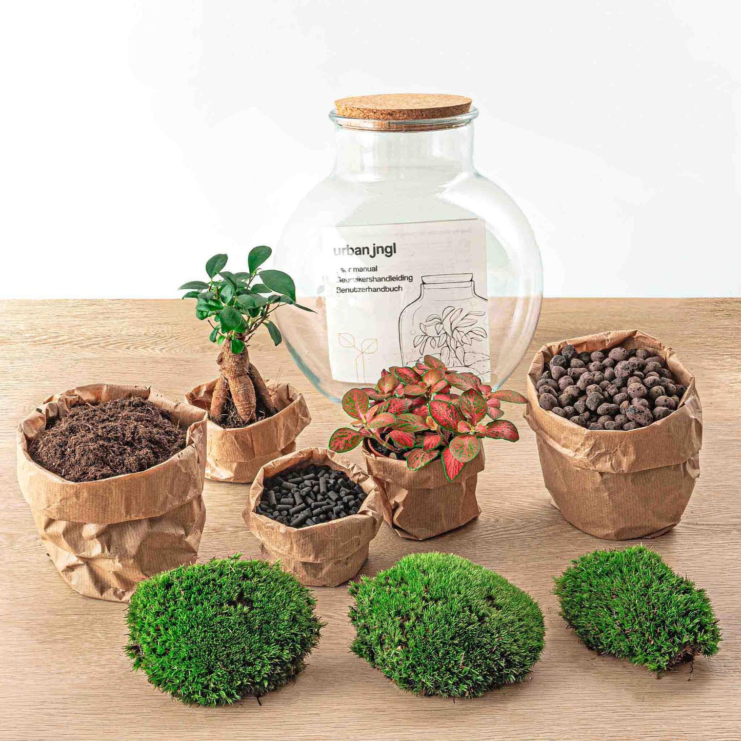 DIY Planten terrarium (met licht) - Teddy Bonsai - Ø 25 cm ↑ 26,5 cm - Rake + Shovel