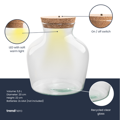 Terrarium fles met verlichting - Little Joe - Ø 20 cm ↑ 22 cm