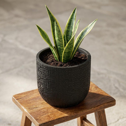 Capi Nature Skin Pot Bol Antraciet - D17cm - H15cm