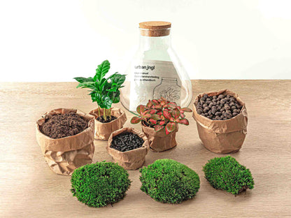 DIY terrarium - Sammie Coffea Red - Ø 22,5 cm ↑ 27 cm - Rake + Shovel