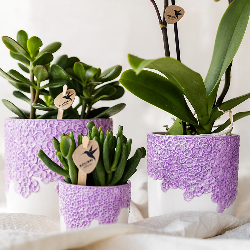 Kolibri Home | Bloom sierpot - Lila - Ø9cm