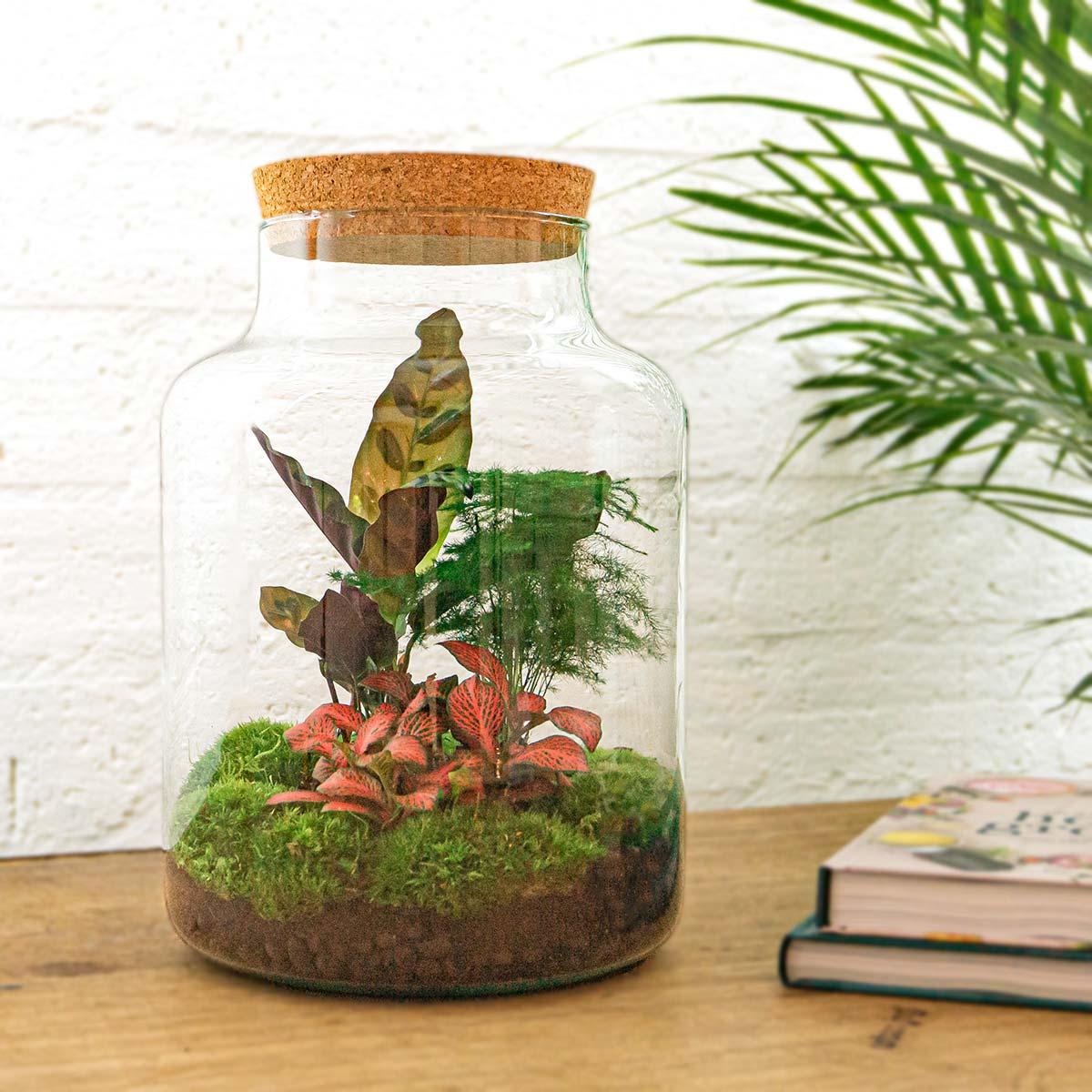 DIY Planten terrarium met licht - Milky - Ø 21 cm ↑ 30 cm - Rake + Shovel