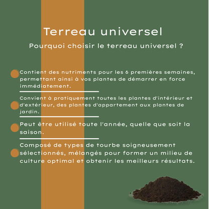 Potgrond Universeel 30 Liter Kopen – Voor Binnen- en Buitenplanten