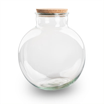 Terrarium fles met kurk - Bolder Bob - Ø 30 cm ↑ 31 cm - Zonder LED-kurk