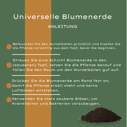 Potgrond Universeel 30 Liter Kopen – Voor Binnen- en Buitenplanten