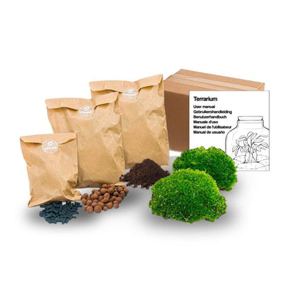 Planten terrarium navulling & startpakket - Maat S/M