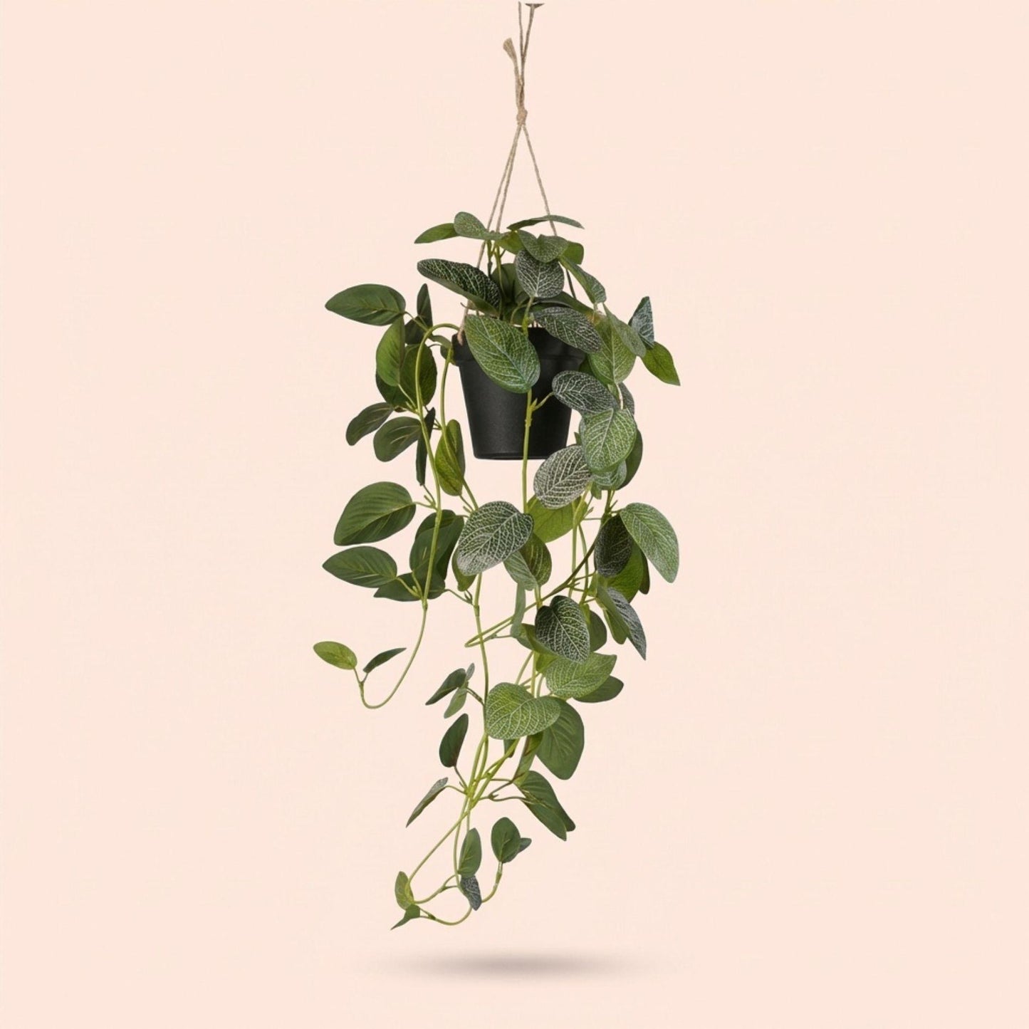 Fittonia - hangplant in pot - 70 cm - Kunstplant