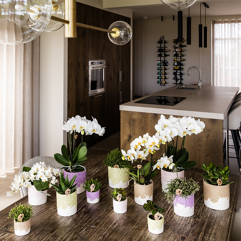 Kolibri Home | Bloom sierpot - Sand - Ø9cm