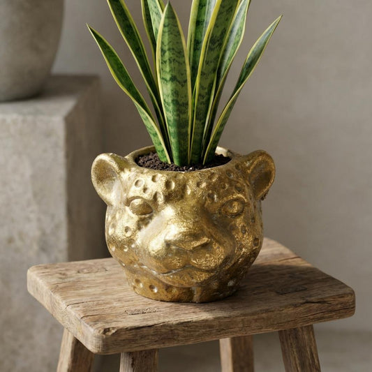 Planter Luipaard D12x9,5cm - Goud - D12x9,5cm
