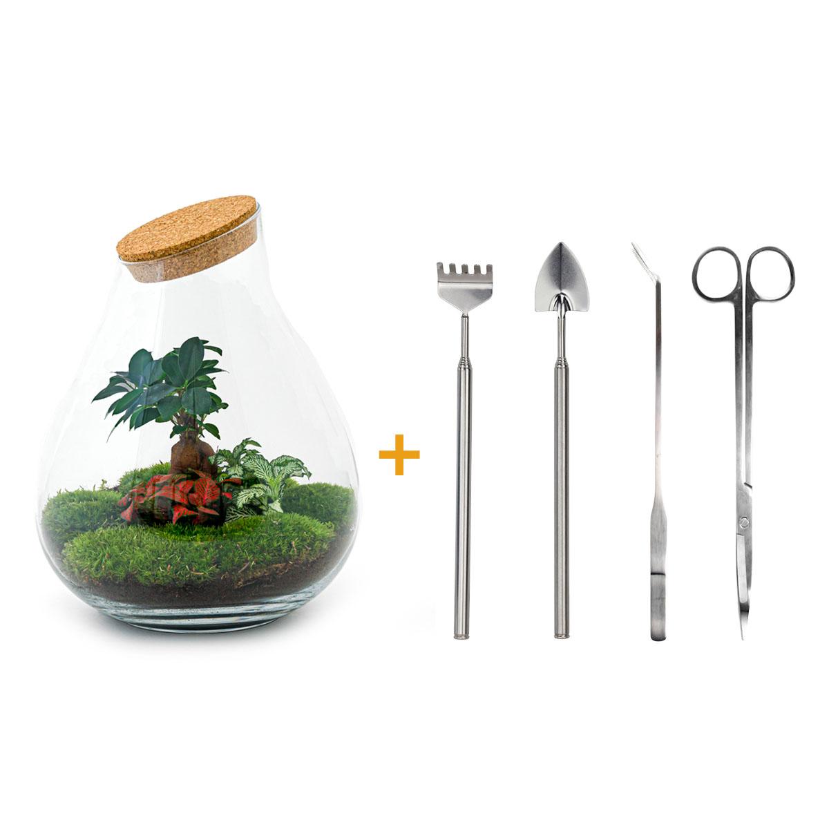 DIY Planten terrarium - Drop XL Bonsai 'red' - Ø 24 cm ↑ 37 cm - Rake + Shovel + Tweezer + Scissors