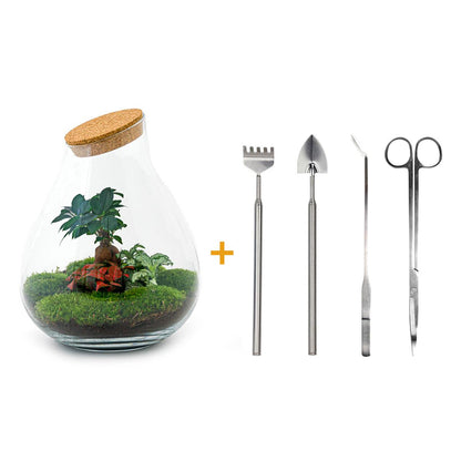 DIY Planten terrarium - Drop XL Bonsai 'red' - Ø 24 cm ↑ 37 cm - Rake + Shovel + Tweezer + Scissors