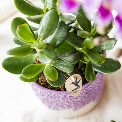 Kolibri Home | Bloom sierpot - Lila - Ø9cm